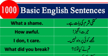 Best English sentences in Urdu PDF, Most used English sentences in Hindi, English to Hindi conversation PDF, Kids English, Basic English lessons in Urdu