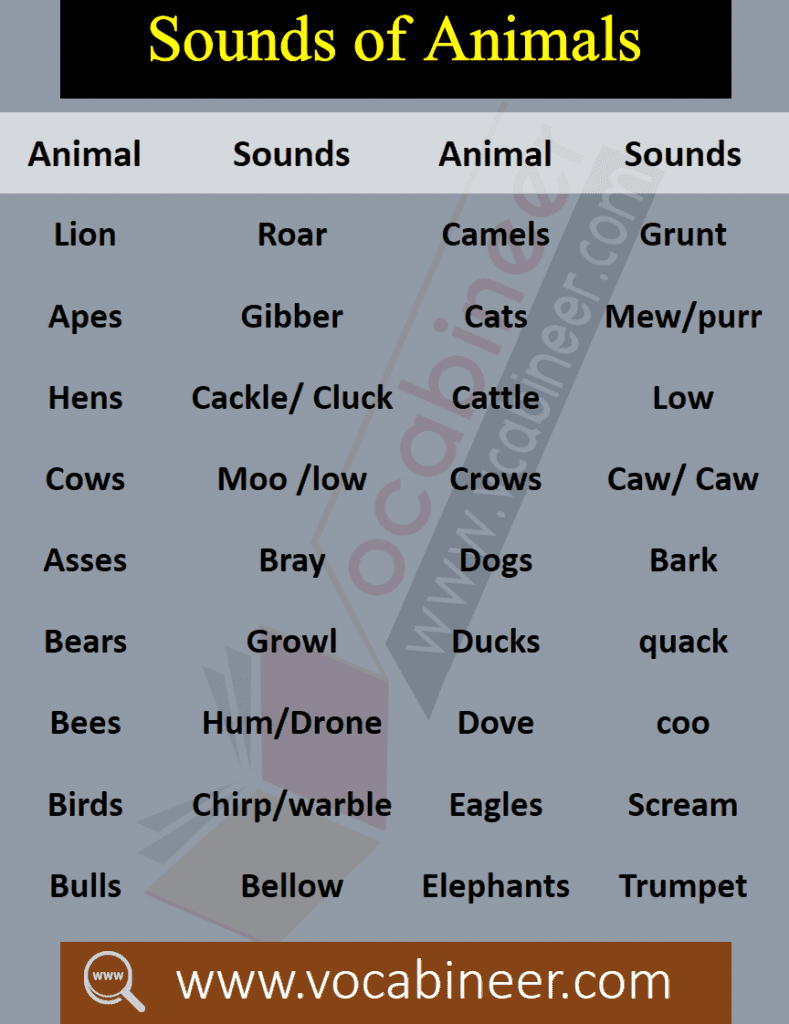 Animals Sounds, Sounds of animals, List of animals sounds. Kids English Vocabulary, Basic vocabulary for kids