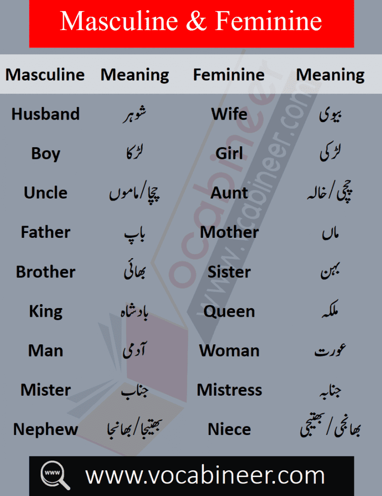 List of male and female words with Urdu, Masculine and feminine in Urdu PDF, List of masculine and feminine words in Urdu, Basic English words in Urdu PDF, English to Urdu words PDF