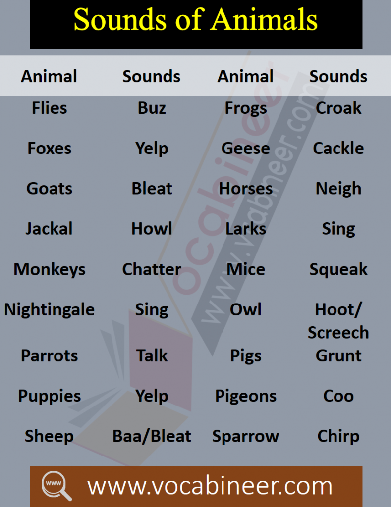 Animals Sounds, Sounds of animals, List of animals sounds. Kids English Vocabulary, Basic vocabulary for kids