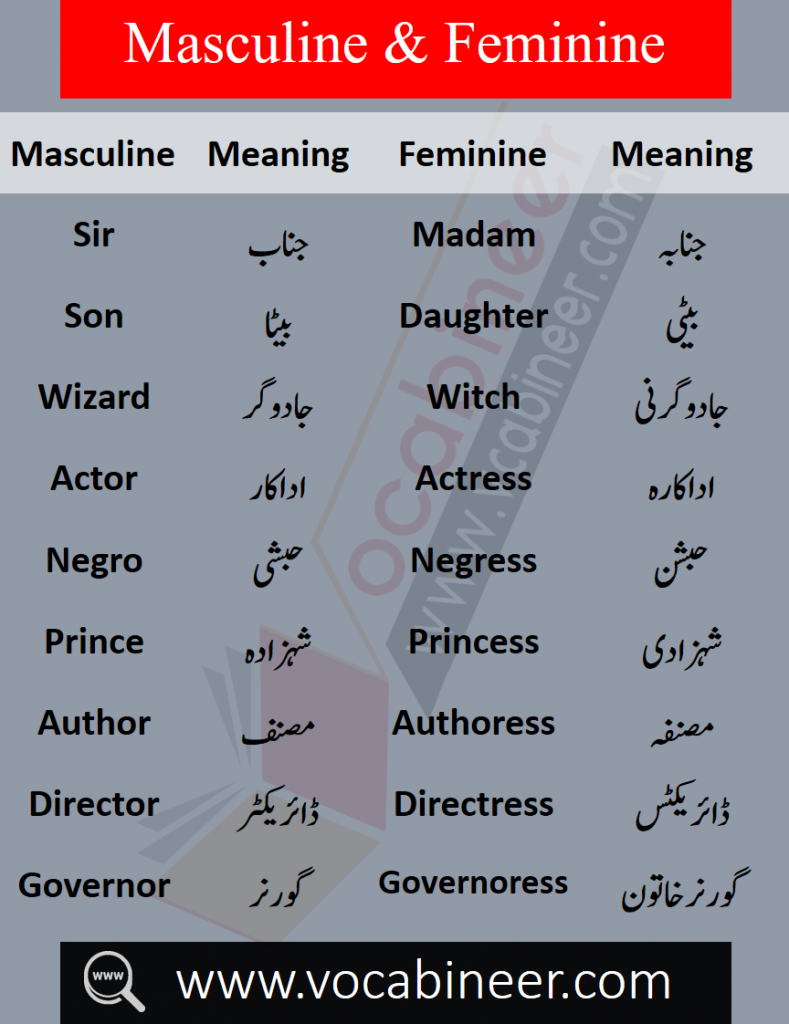 List of male and female words with Urdu, Masculine and feminine in Urdu PDF, List of masculine and feminine words in Urdu, Basic English words in Urdu PDF, English to Urdu words PDF