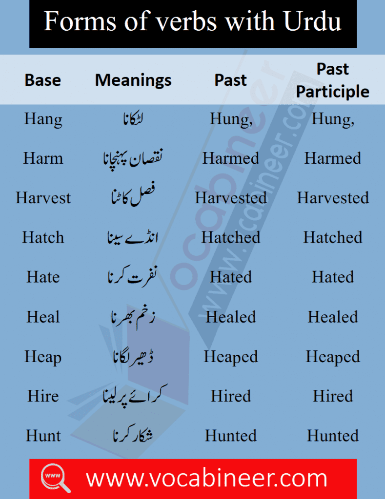 30 Body Sound Words in English with Urdu Meanings  English vocabulary  words, English phrases sentences, English speaking book