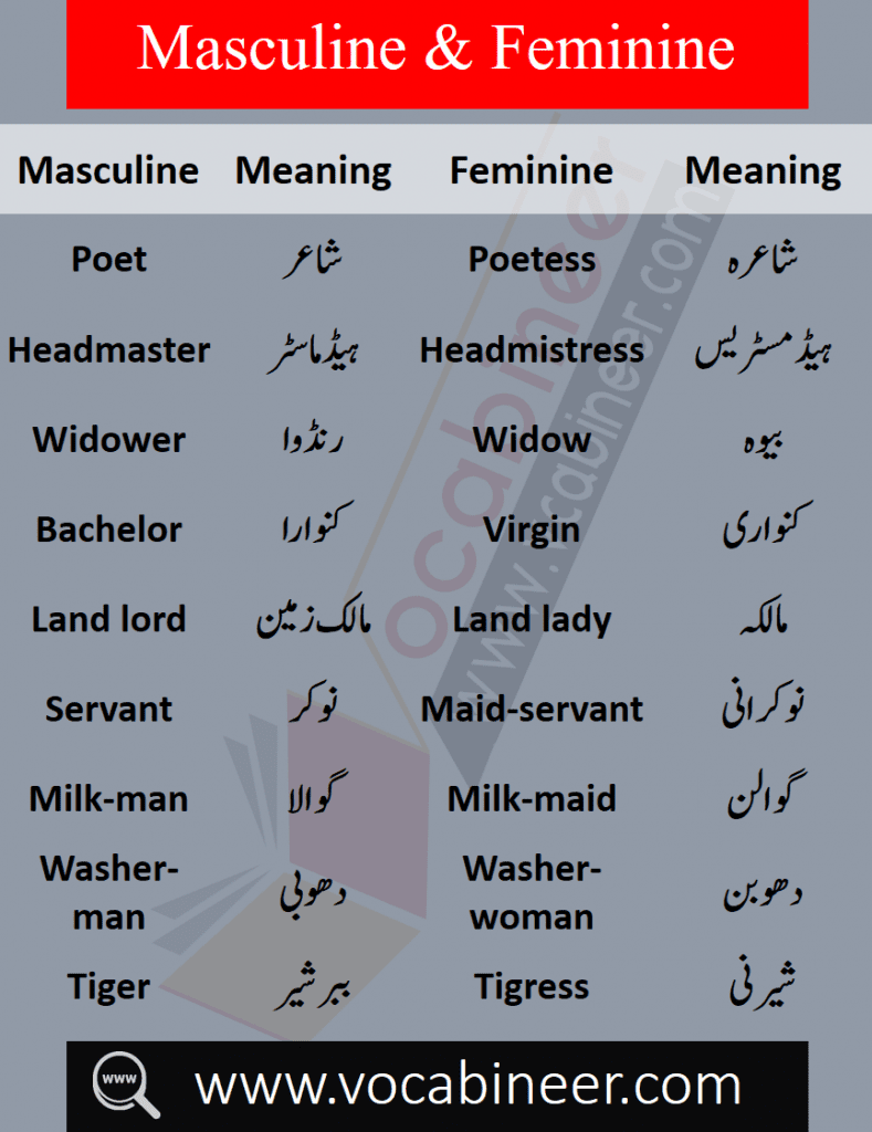 List of male and female words with Urdu, Masculine and feminine in Urdu PDF, List of masculine and feminine words in Urdu, Basic English words in Urdu PDF, English to Urdu words PDF