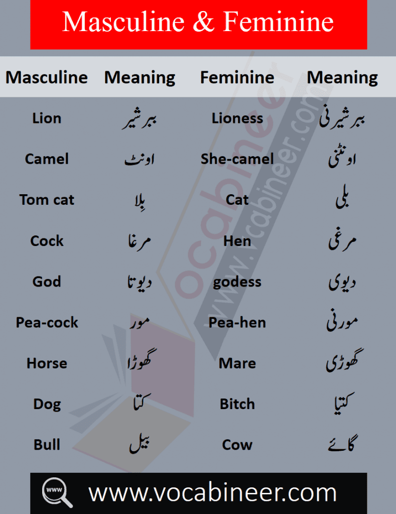 List of male and female words with Urdu, Masculine and feminine in Urdu PDF, List of masculine and feminine words in Urdu, Basic English words in Urdu PDF, English to Urdu words PDF