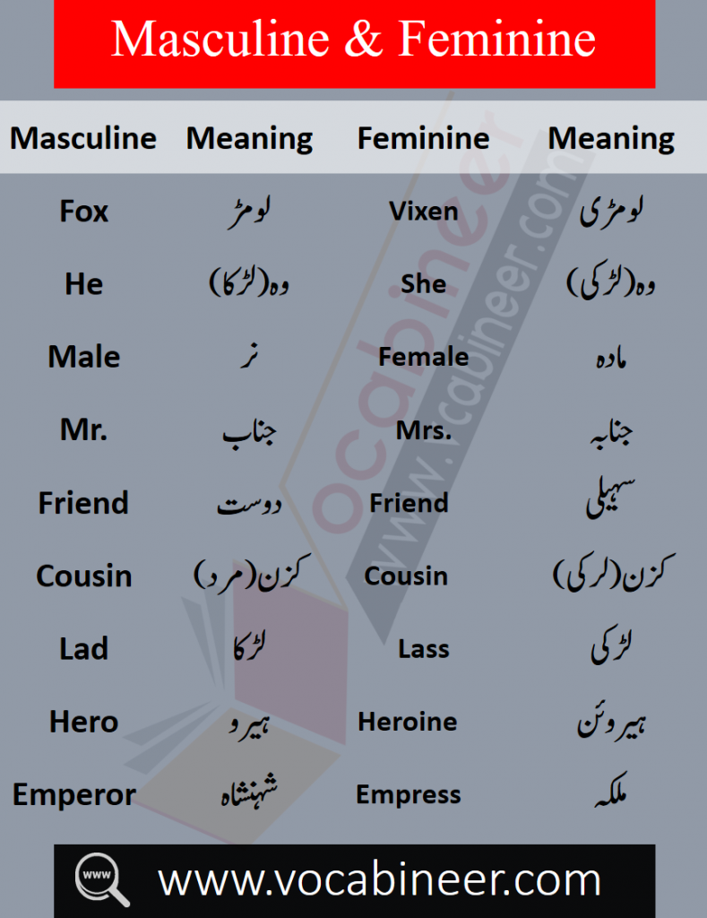 List of male and female words with Urdu, Masculine and feminine in Urdu PDF, List of masculine and feminine words in Urdu, Basic English words in Urdu PDF, English to Urdu words PDF