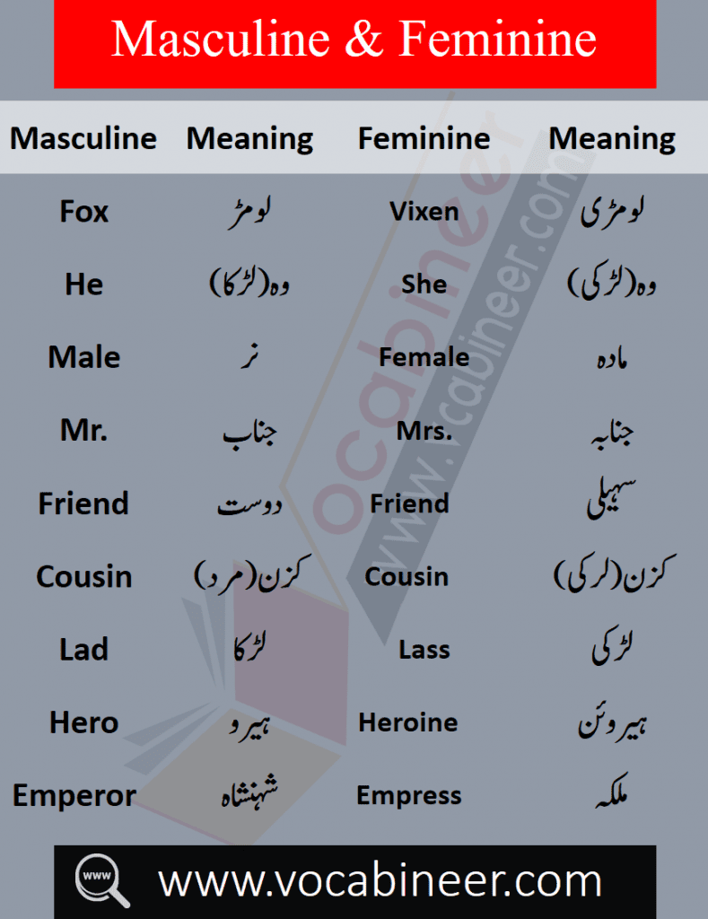 List of male and female words with Urdu, Masculine and feminine in Urdu PDF, List of masculine and feminine words in Urdu, Basic English words in Urdu PDF, English to Urdu words PDF