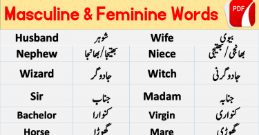 Masculine and Feminine with Urdu Meanings Download PDF Free