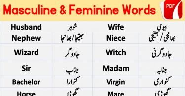 Masculine and Feminine with Urdu Meanings Download PDF Free