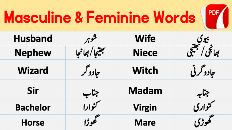 Masculine and Feminine with Urdu Meanings Download PDF Free