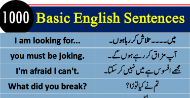 Basic English lessons in Hindi, Basic Sentences in Hindi, Hindi Sentences PDF, Urdu Sentences PDF, Short Sentences with Urdu, Short Sentences with Hindi