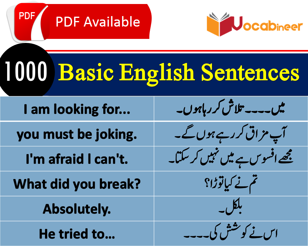 Daily Used English Sentences With Urdu Translation #for #foryou