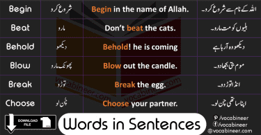 Urdu Words Meaning and Sentences Learn Order Words with Sentences in Urdu Translation contains 1000 English Urdu Words with Urdu meanings and sentences with PDF