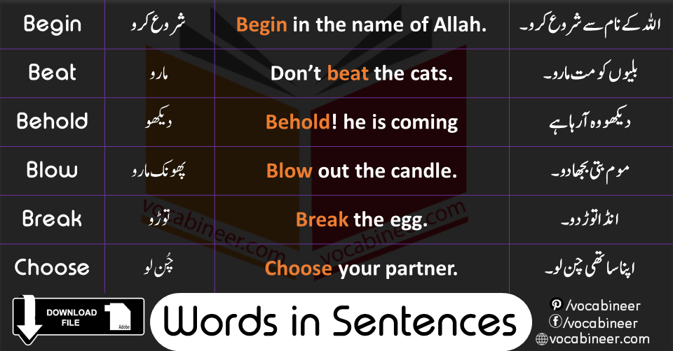 English Sentences for Beginners in Urdu Translation with PDF 