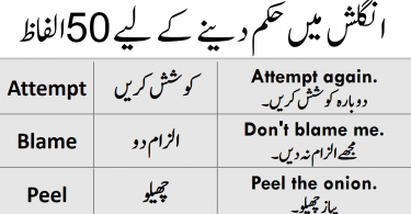100 English Words with Sentences in Urdu for Daily Use