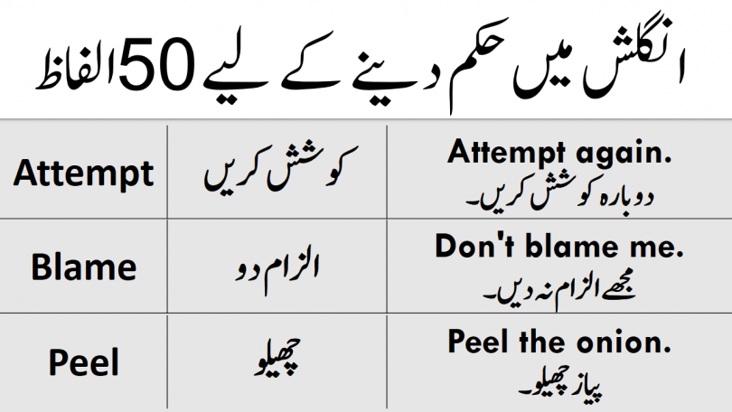 100 English Words with Sentences in Urdu for Daily Use