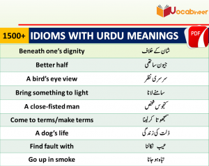 Animal Idioms With Hindi And Urdu Meanings