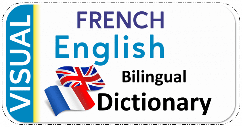 French English Bilingual Visual Dictionary PDF Free