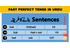 Past Perfect Tense With Exercise in Urdu and Hindi PDF is explained with examples for simple sentences, negative sentences and interrogative sentences. Past perfect Tense in Urdu, Tenses with examples, Tenses and uses.