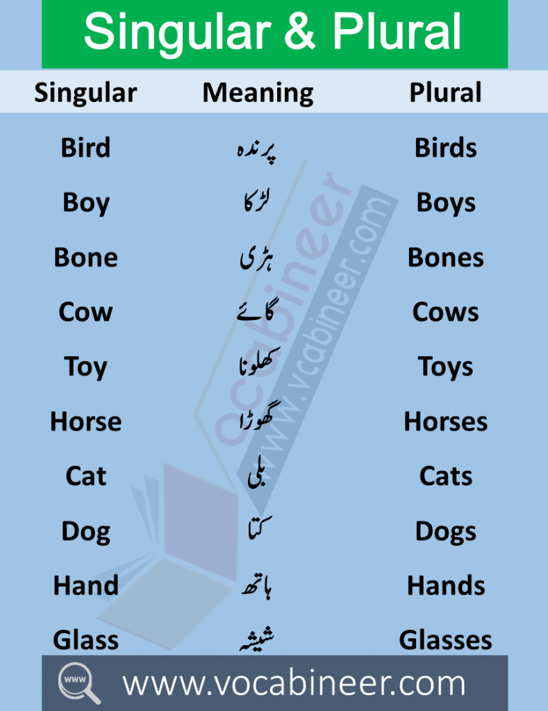 Singular Plural in Urdu 100 Urdu words in English PDF Wahid Jama in Urdu Singular Plural in Urdu meanings this lesson consists of 100 Singular Plural English words with meanings in Urdu used in daily life.