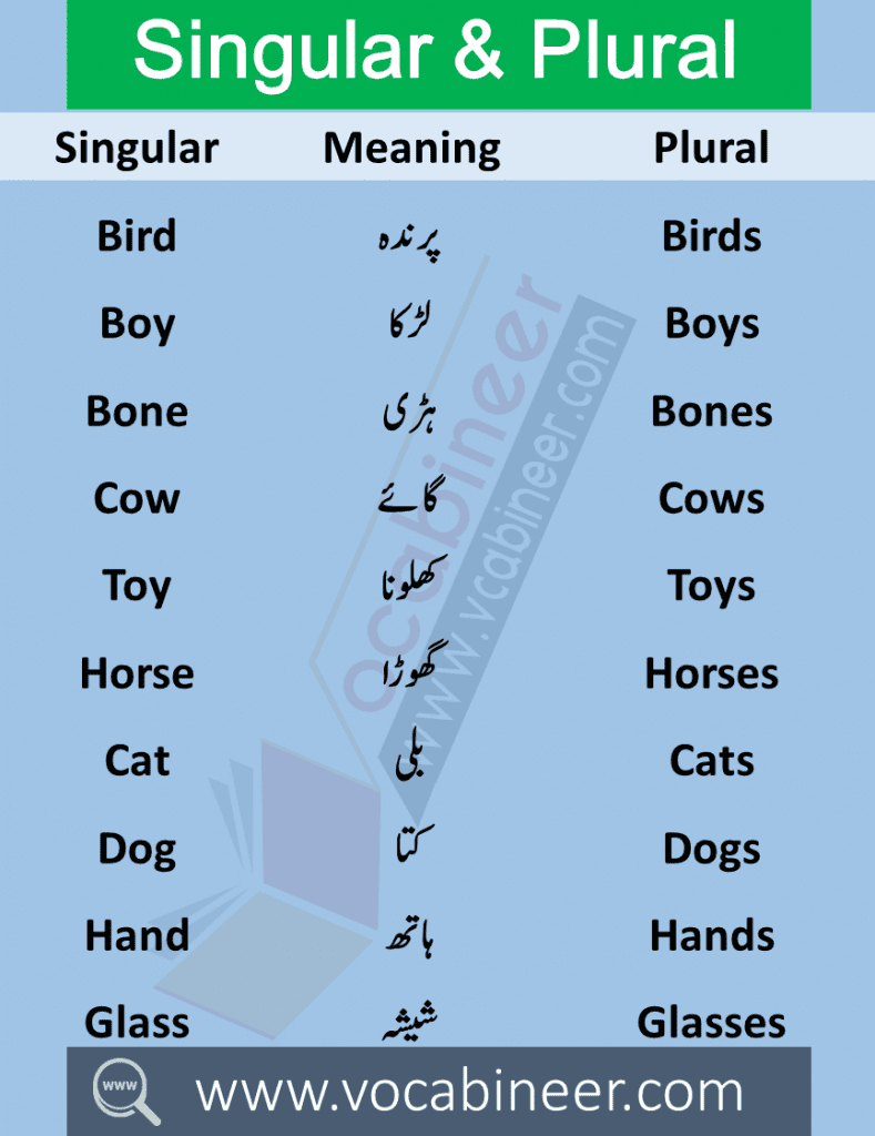 Singular Plural in Urdu 100 Urdu words in English PDF Wahid Jama in Urdu Singular Plural in Urdu meanings this lesson consists of 100 Singular Plural English words with meanings in Urdu used in daily life.