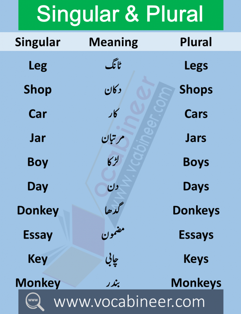 Singular Plural in Urdu 100 Urdu words in English PDF Wahid Jama in Urdu Singular Plural in Urdu meanings this lesson consists of 100 Singular Plural English words with meanings in Urdu used in daily life.