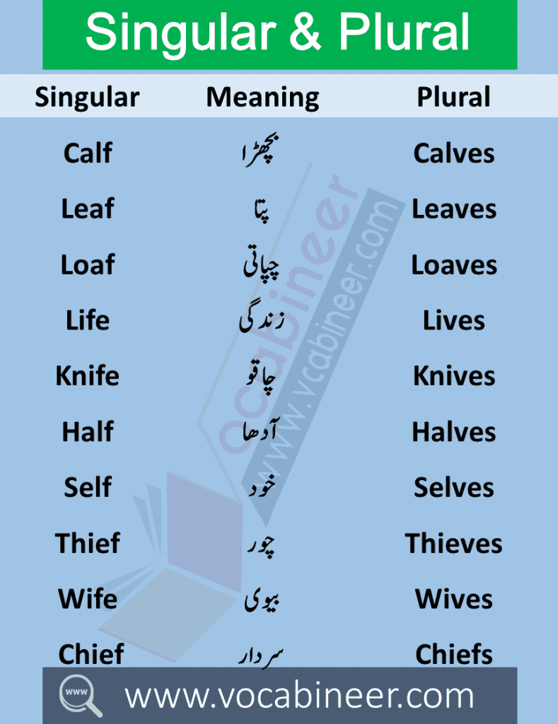 Singular Plural in Urdu 100 Urdu words in English PDF Wahid Jama in Urdu Singular Plural in Urdu meanings this lesson consists of 100 Singular Plural English words with meanings in Urdu used in daily life.