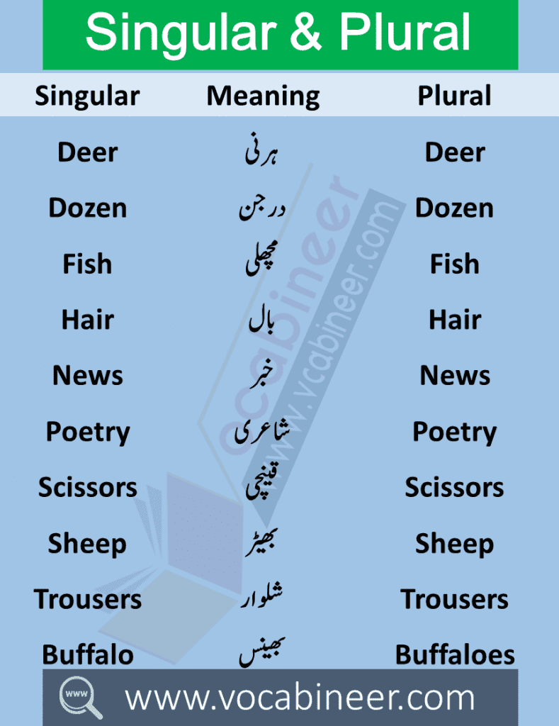 Singular Plural in Urdu 100 Urdu words in English PDF Wahid Jama in Urdu Singular Plural in Urdu meanings this lesson consists of 100 Singular Plural English words with meanings in Urdu used in daily life.