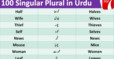 Singular Plural in Urdu 100 Urdu words in English PDF Wahid Jama in Urdu Singular Plural in Urdu meanings this lesson consists of 100 100 Singular Plural English words with meanings in Urdu used in daily life.