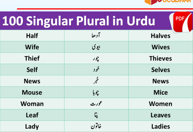 Singular Plural in Urdu 100 Urdu words in English PDF Wahid Jama in Urdu Singular Plural in Urdu meanings this lesson consists of 100 100 Singular Plural English words with meanings in Urdu used in daily life.