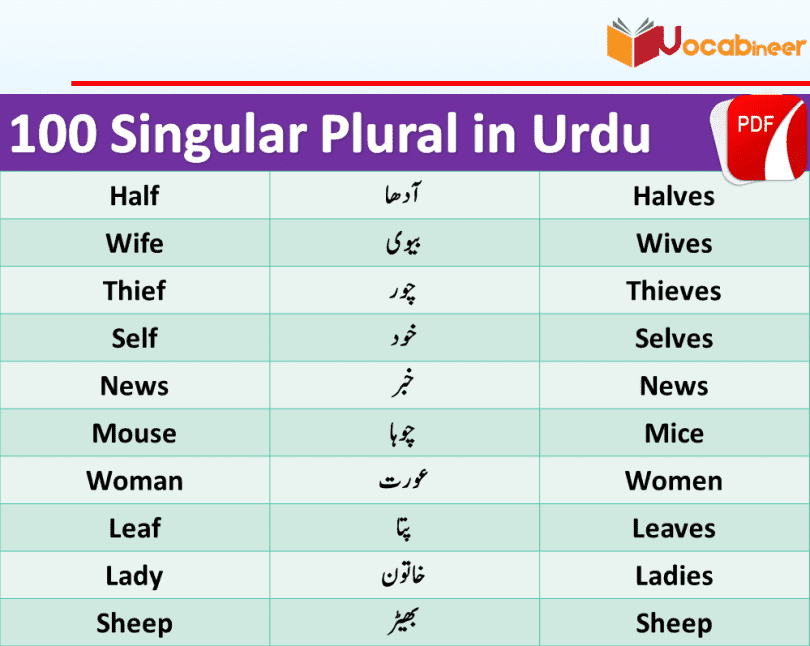 Singular Plural in Urdu 100 Urdu words in English PDF Wahid Jama in Urdu Singular Plural in Urdu meanings this lesson consists of 100 100 Singular Plural English words with meanings in Urdu used in daily life.