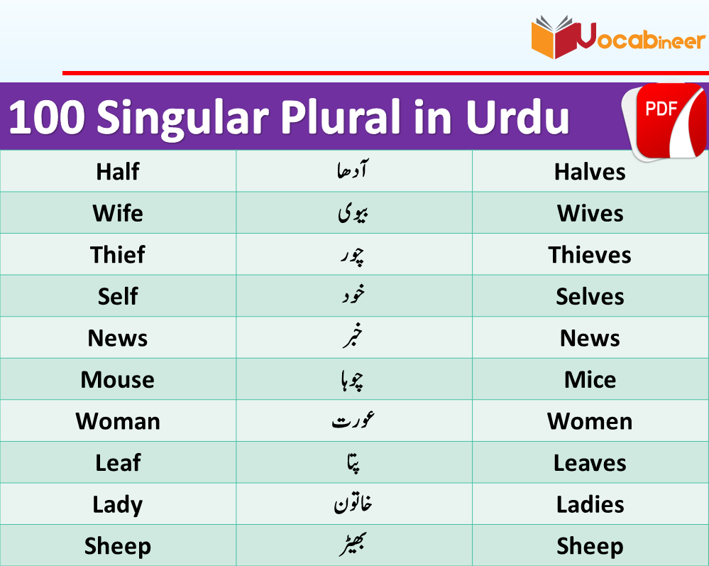 100 Singular Plural Nouns List Examples in Urdu or Hindi