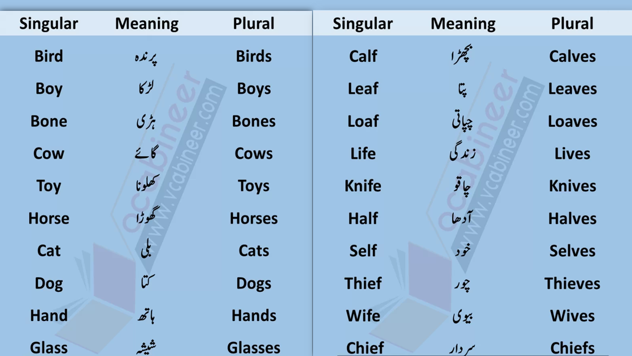 100 Singular Plural Nouns List Examples in Urdu or Hindi