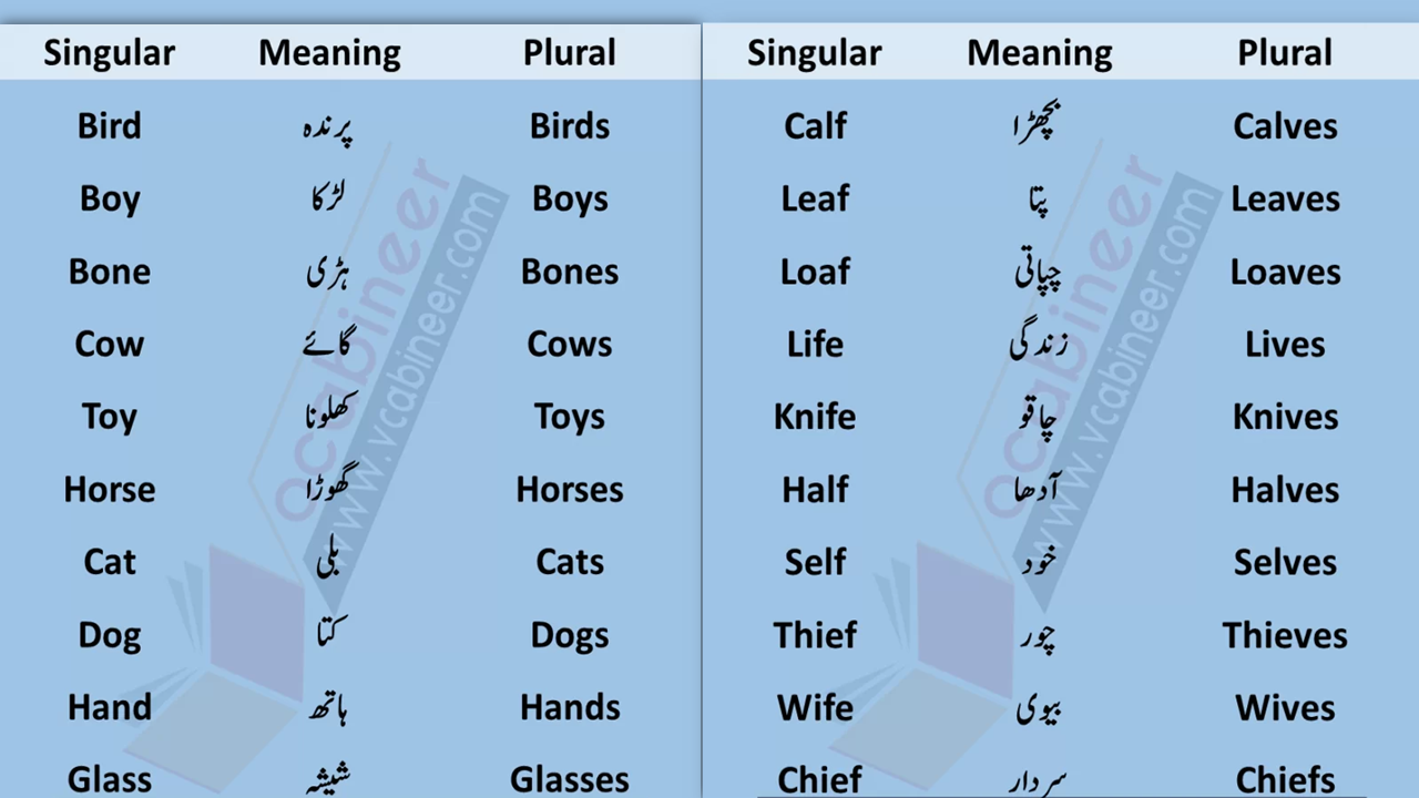 100-singular-plural-nouns-list-examples-in-urdu-or-hindi