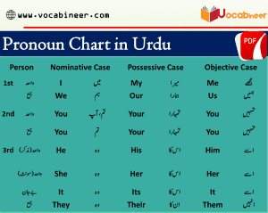 Hindi Pronoun Chart