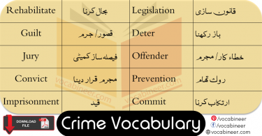 Crime Vocabulary List with Urdu and Hindi Meanings