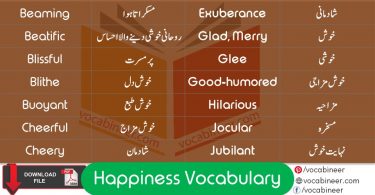 Happiness Related Vocabulary with Urdu Meanings