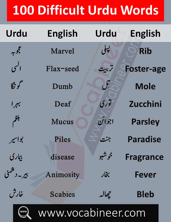 English to Urdu Vocabulary,1000 Urdu words,Urdu words list PDF,Dictionary Urdu to English sentences translation,Urdu vocabulary words list PDF,Common Urdu words used in daily life,Urdu to English dictionary download, english to urdu vocabulary book,Urdu vocabulary words list PDF,1000 English words with Urdu meaning,English vocabulary words with meanings in Urdu list PDF,English vocabulary words with Urdu meaning download free,Urdu vocabulary for o levels