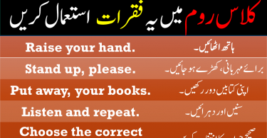 Daily Use Sentences in Classroom with Urdu Translation