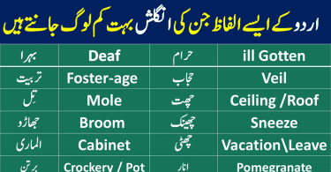 English to Urdu Vocabulary,1000 Urdu words,Urdu words list PDF,Dictionary Urdu to English sentences translation,Urdu vocabulary words list PDF,Common Urdu words used in daily life,Urdu to English dictionary download, english to urdu vocabulary book,Urdu vocabulary words list PDF,1000 English words with Urdu meaning,English vocabulary words with meanings in Urdu list PDF,English vocabulary words with Urdu meaning download free,Urdu vocabulary for o levels