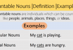 Countable Nouns Definition and Examples in English