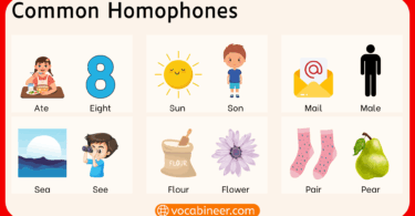 300 Common Homophones List with Meanings in English