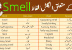 Smell Vocabulary List with Urdu Meanings