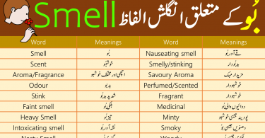Smell Vocabulary List with Urdu Meanings