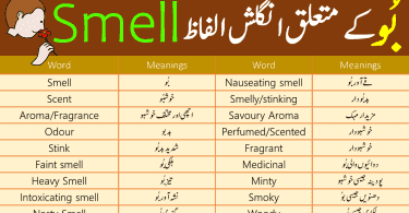 Smell Vocabulary List with Urdu Meanings