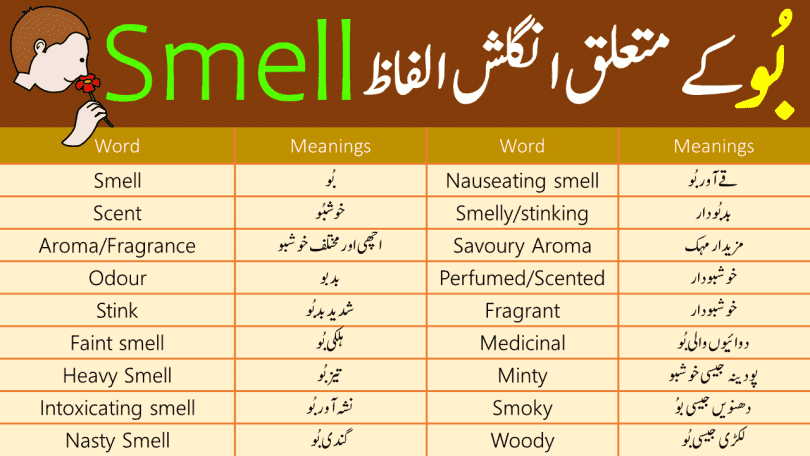 Smell Vocabulary List With Urdu Meanings