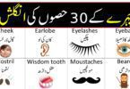 Parts of Face Name in English and Urdu | Face Vocabulary