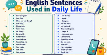 English sentences used in daily life for speaking practice, including greetings, questions, polite phrases, shopping, travel, and everyday conversation examples.