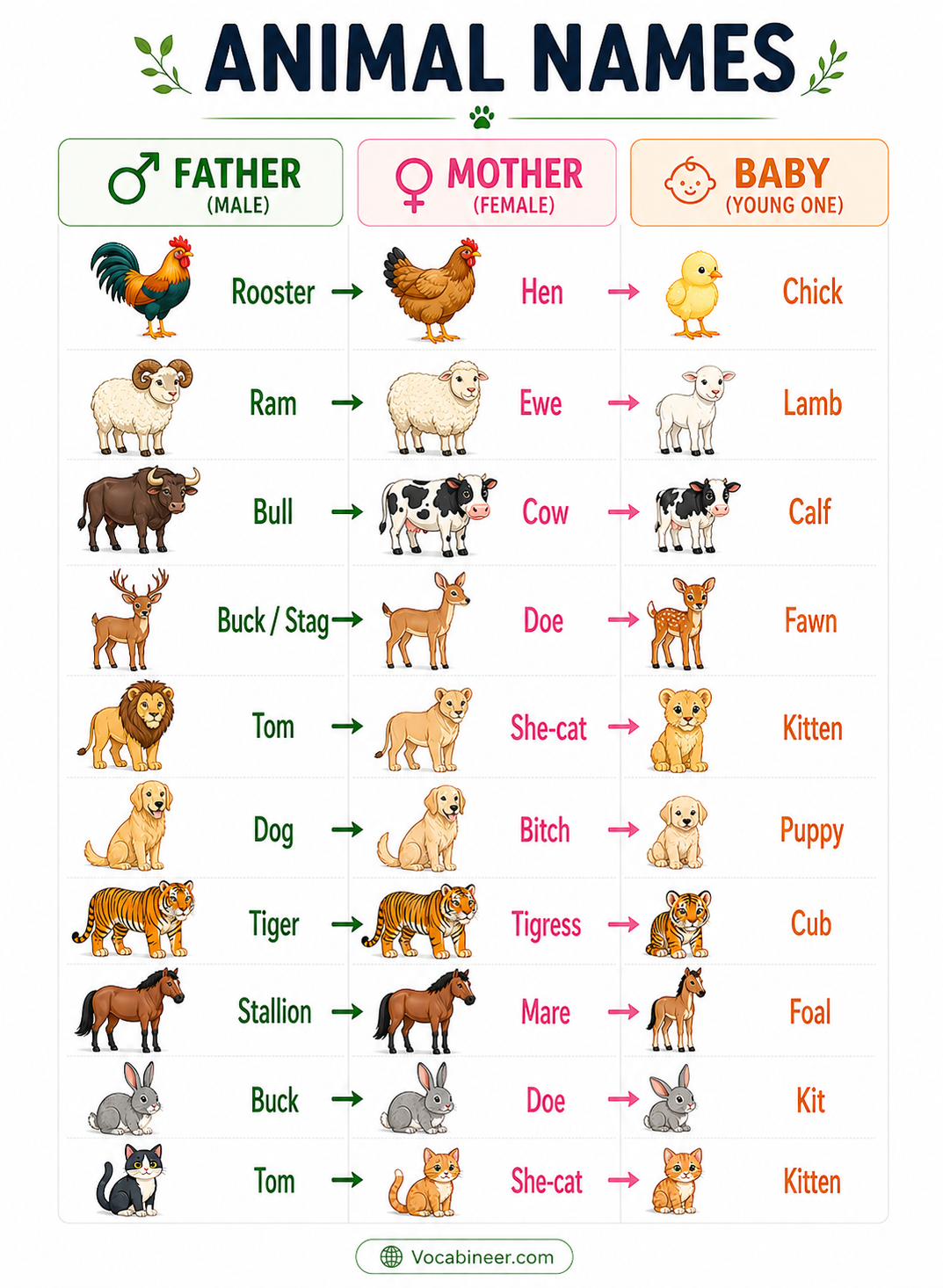 Animal chart for kids with pictures showing common animals in a colorful and child-friendly learning layout.