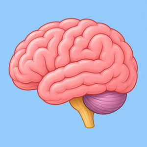 Brain