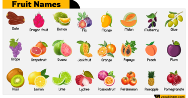 Fruit Names Vocabulary in English with Images
